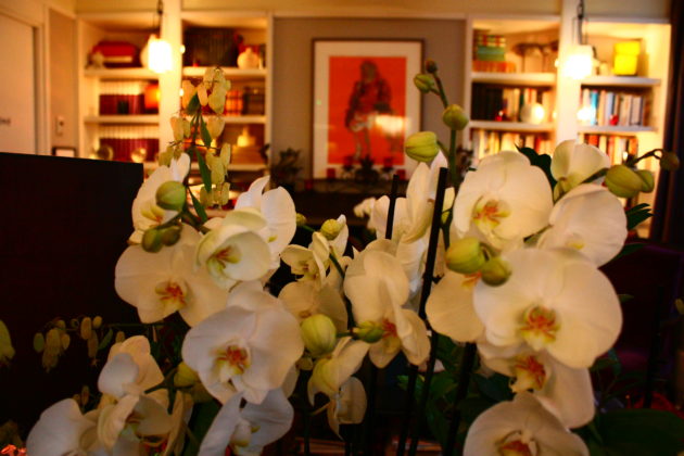 O charmoso Villa Madame Paris e sua decor cheia de orquídeas...Um charme!